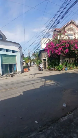 Bất động sản tại Bình Dương - ảnh 1
