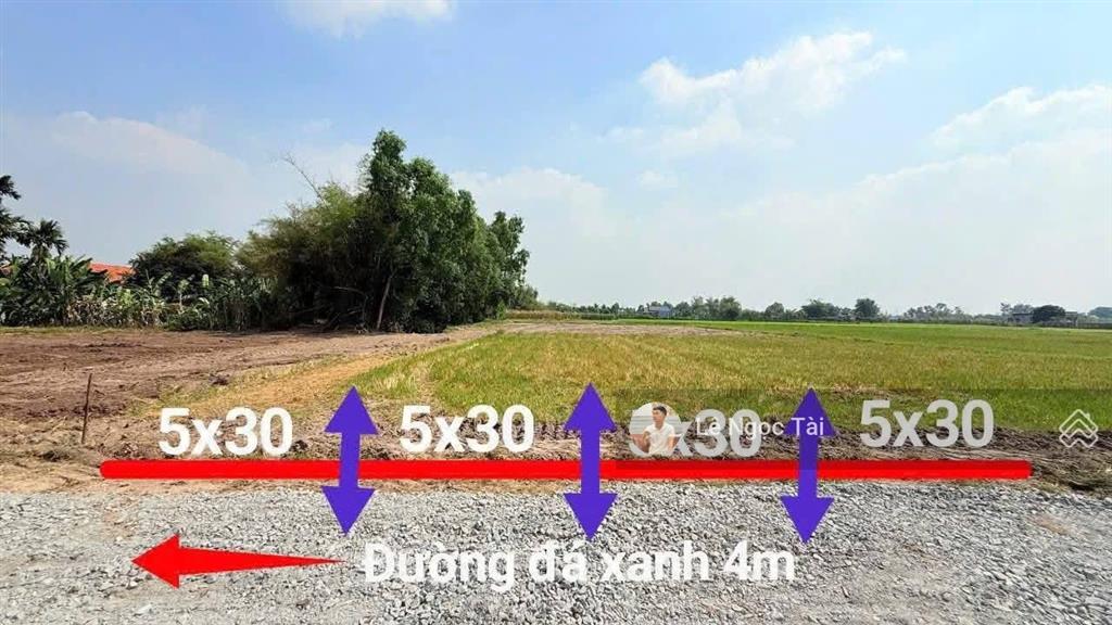 Bất động sản tại Long An - ảnh 1