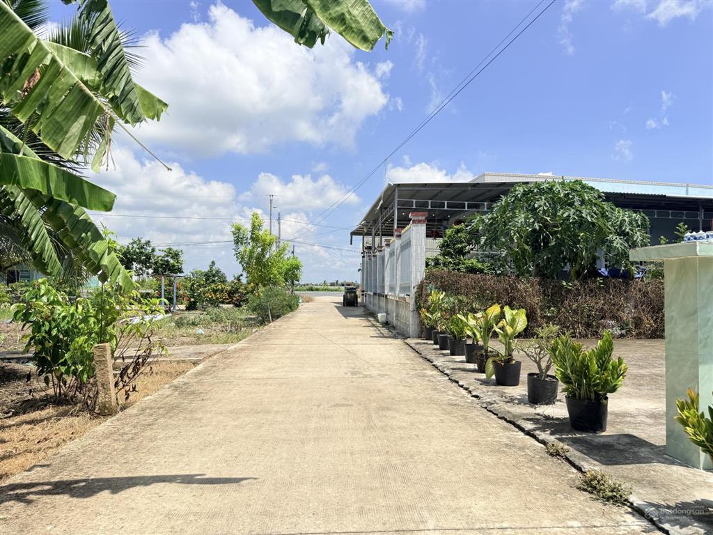 Bất động sản tại Long An - ảnh 1