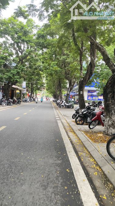 Bất động sản tại Hải Phòng - ảnh 1