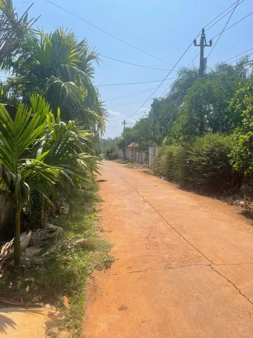Bất động sản tại Đắk Lắk - ảnh 1