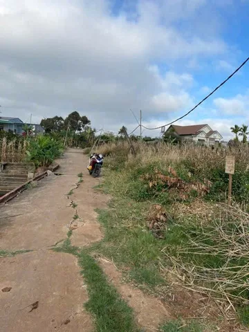 Bất động sản tại Đắk Lắk - ảnh 1