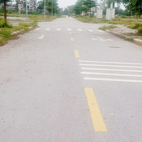 Bất động sản tại Bắc Ninh - ảnh 1