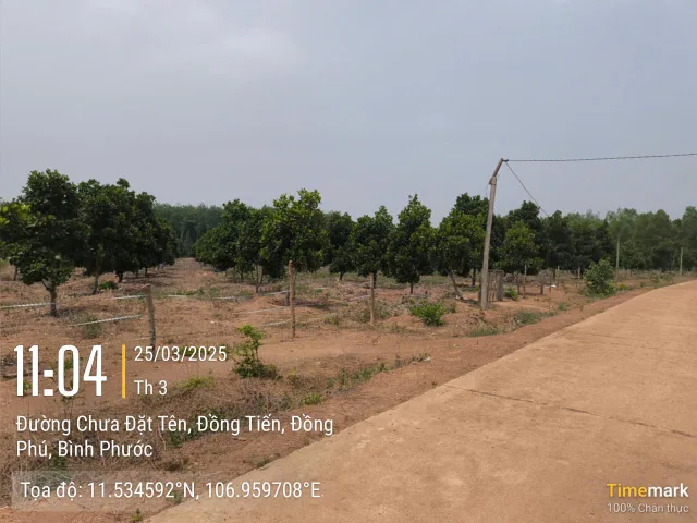Bất động sản tại Đồng Nai - ảnh 1