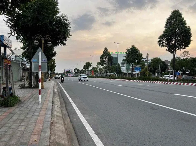 Bất động sản tại Bình Dương - ảnh 1