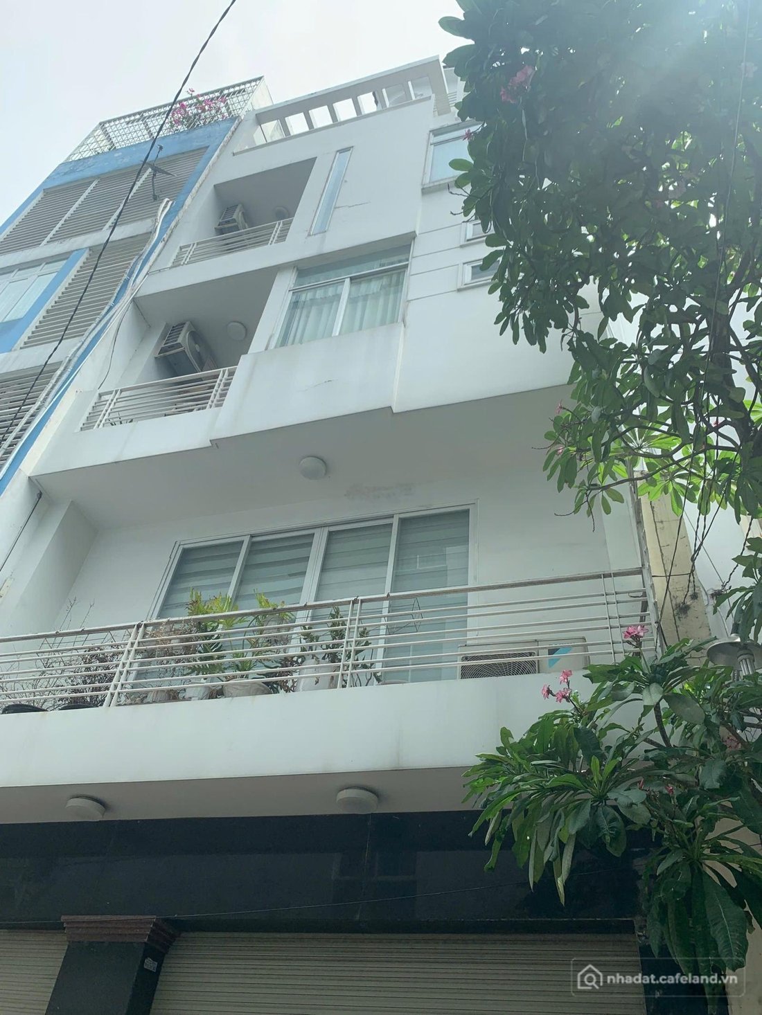 Bất động sản tại TP. Hồ Chí Minh - ảnh 1