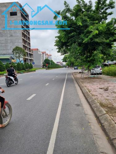 Bất động sản tại Bắc Ninh - ảnh 1