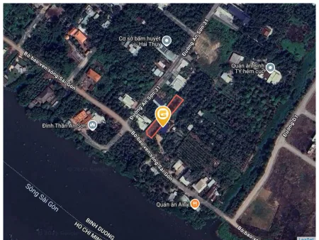 Bất động sản tại Bình Dương - ảnh 1