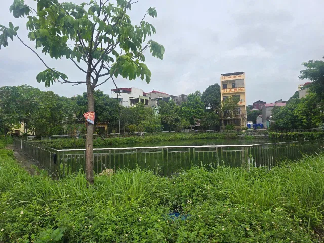 Bất động sản tại Bắc Ninh - ảnh 1