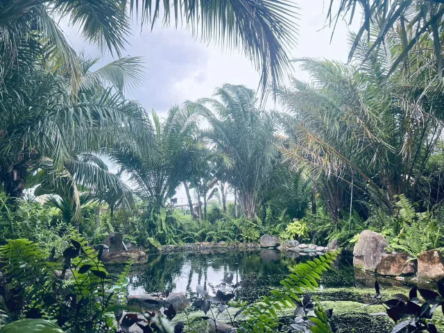 Bất động sản tại TP. Hồ Chí Minh - ảnh 1