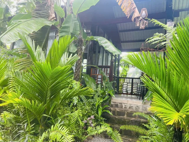 Bất động sản tại TP. Hồ Chí Minh - ảnh 2