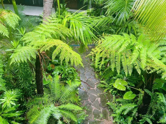 Bất động sản tại TP. Hồ Chí Minh - ảnh 3