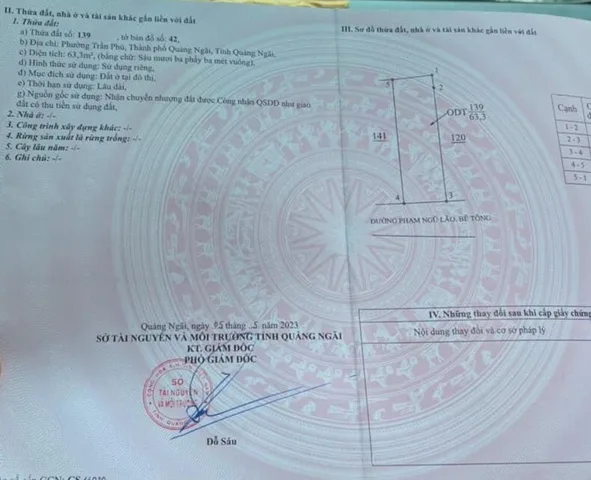 Bất động sản tại Quảng Ngãi - ảnh 1