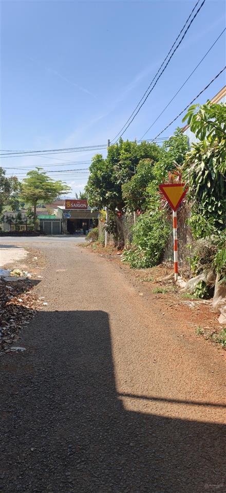 Bất động sản tại Lâm Đồng - ảnh 1