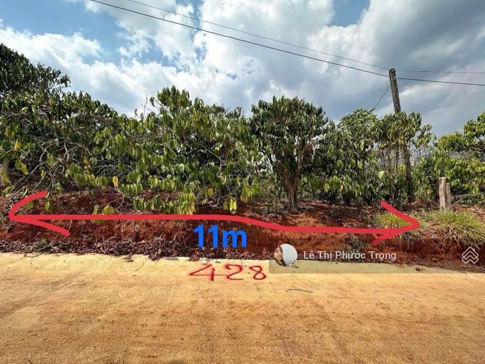 Bất động sản tại Lâm Đồng - ảnh 1