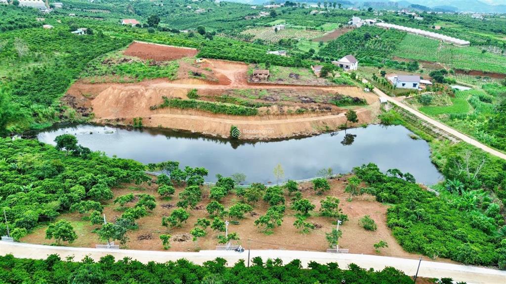 Bất động sản tại Lâm Đồng - ảnh 1