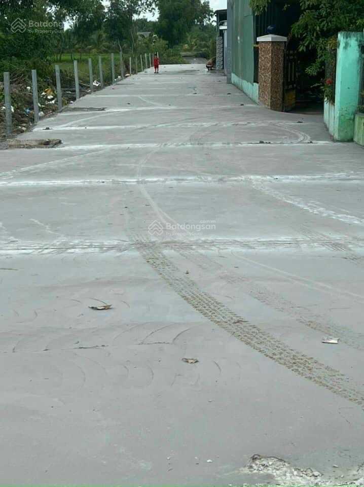 Bất động sản tại Long An - ảnh 1