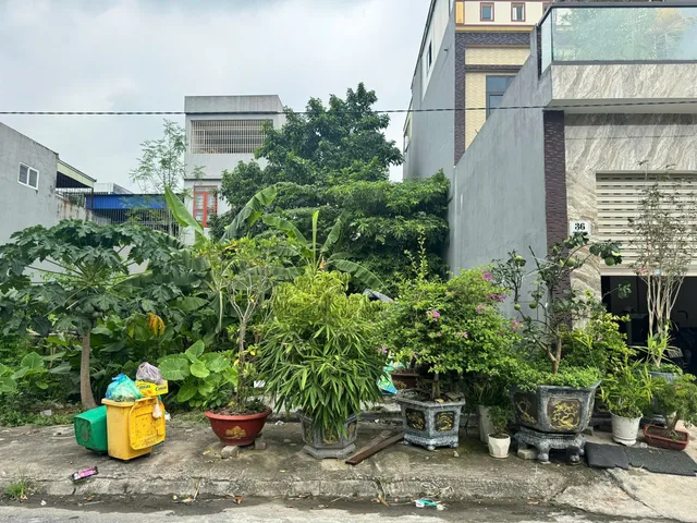 Bất động sản tại Hải Phòng - ảnh 1