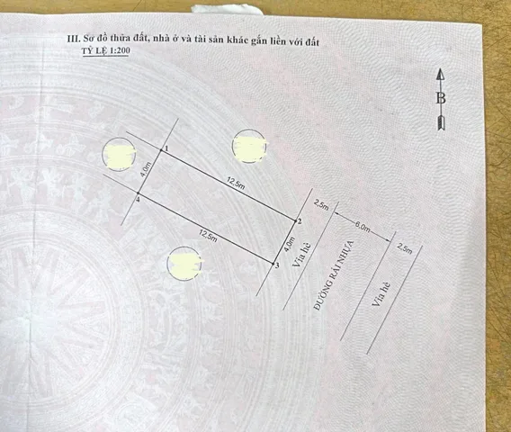 Bất động sản tại Hải Phòng - ảnh 1