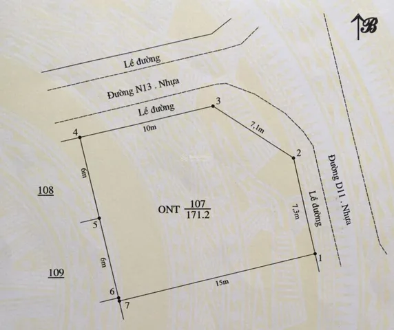 Bất động sản tại Đồng Nai - ảnh 1