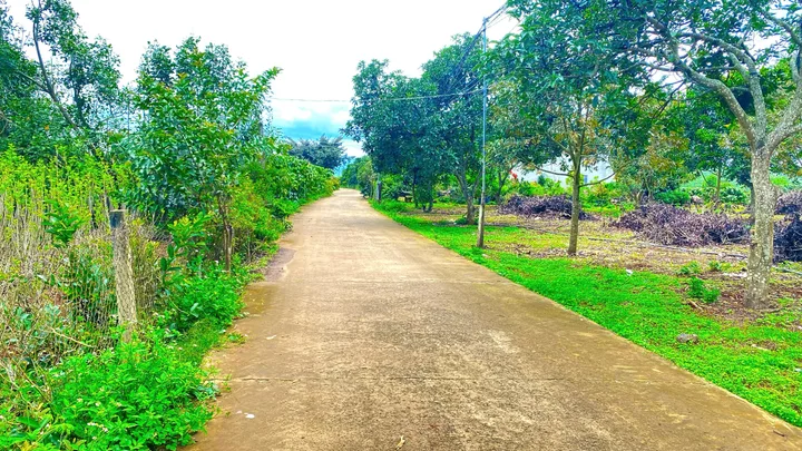 Bất động sản tại Lâm Đồng - ảnh 1