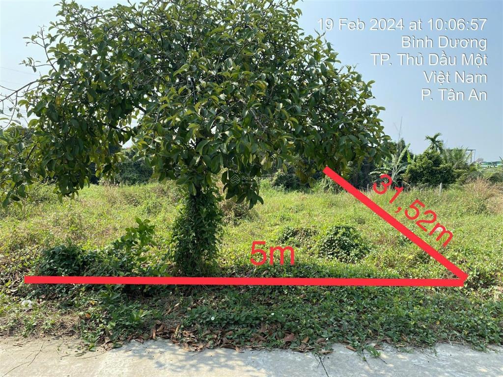 Bất động sản tại Bình Dương - ảnh 1