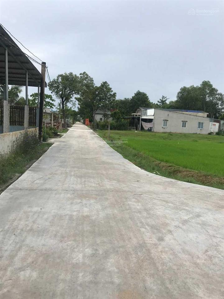 Bất động sản tại Long An - ảnh 1