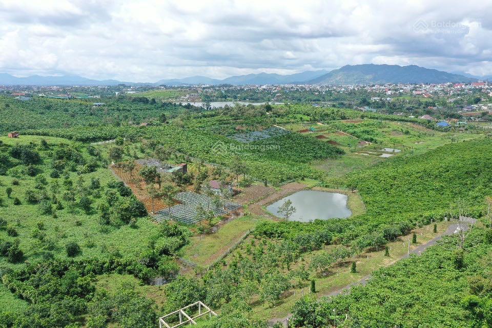 Bất động sản tại Lâm Đồng - ảnh 1