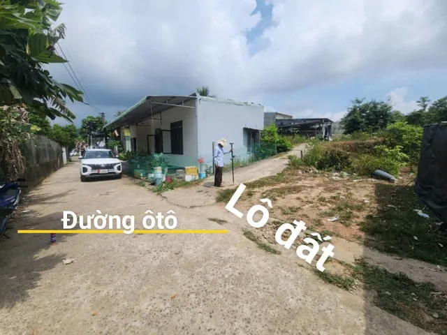 Bất động sản tại Đà Nẵng - ảnh 1