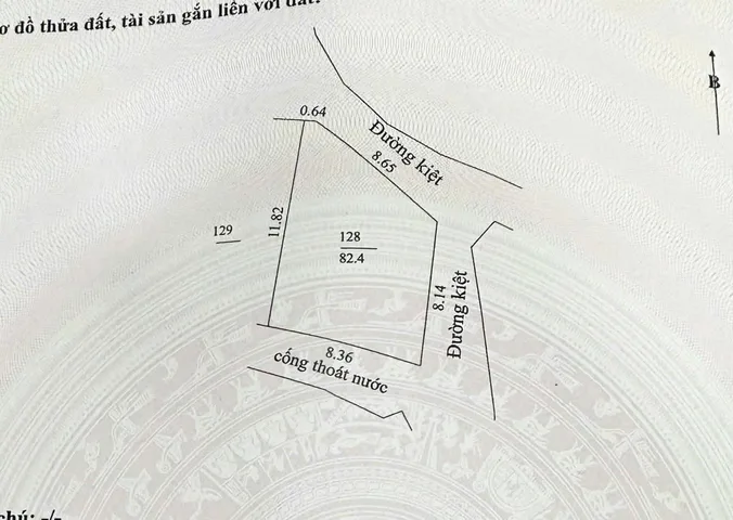 Bất động sản tại Đà Nẵng - ảnh 1