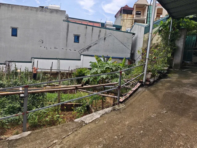 Bất động sản tại Phú Thọ - ảnh 1