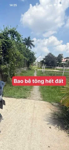 Bất động sản tại Long An - ảnh 1