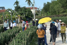 Bất động sản tại Thừa Thiên Huế - ảnh 1