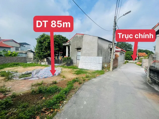 Bất động sản tại Phú Thọ - ảnh 1