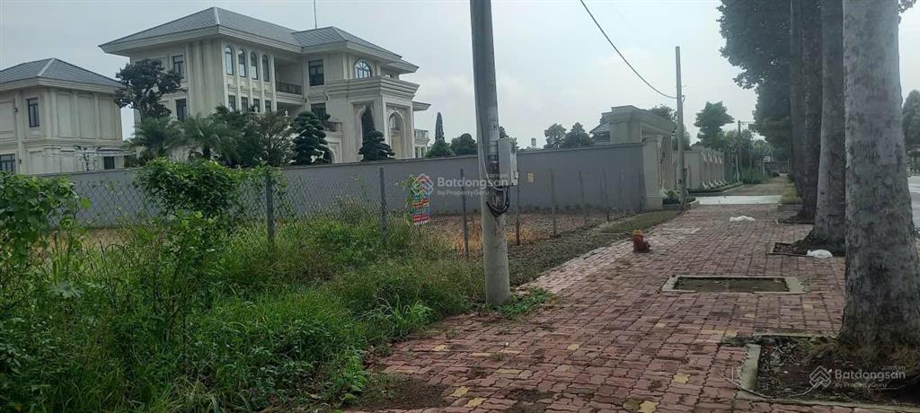 Bất động sản tại Bà Rịa - Vũng Tàu - ảnh 1