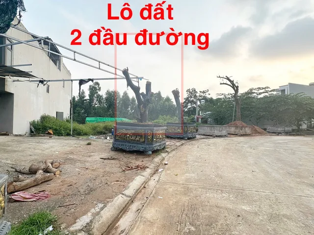 Bất động sản tại Vĩnh Phúc - ảnh 1