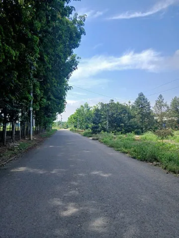 Bất động sản tại Bình Dương - ảnh 1