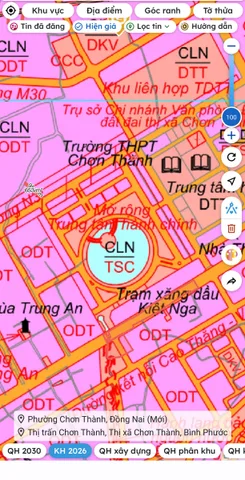 Bất động sản tại Đồng Nai - ảnh 1