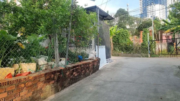 Bất động sản tại Bình Dương - ảnh 1