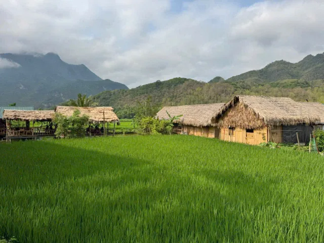 Bất động sản tại Hòa Bình - ảnh 1