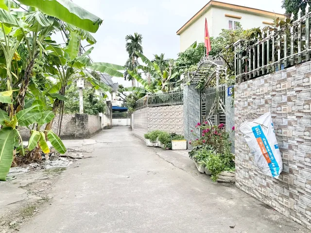 Bất động sản tại Hải Phòng - ảnh 1