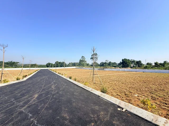 Bất động sản tại Phú Thọ - ảnh 1
