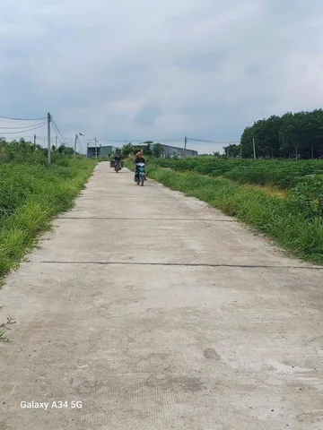 Bất động sản tại Bình Phước - ảnh 1