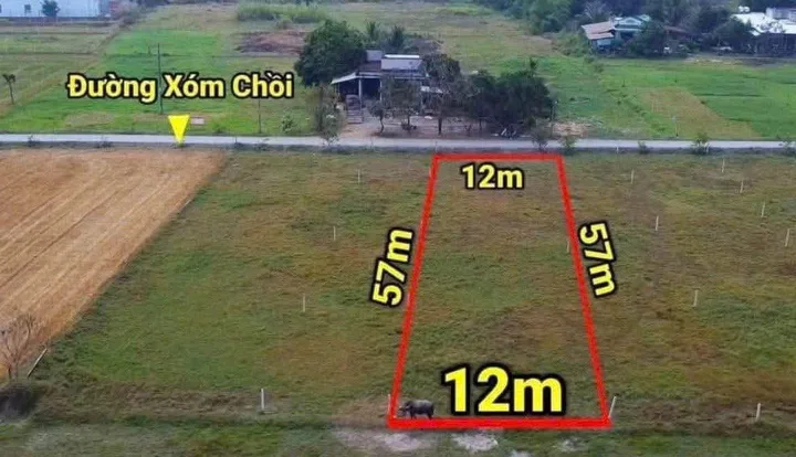 Bất động sản tại Tây Ninh - ảnh 1