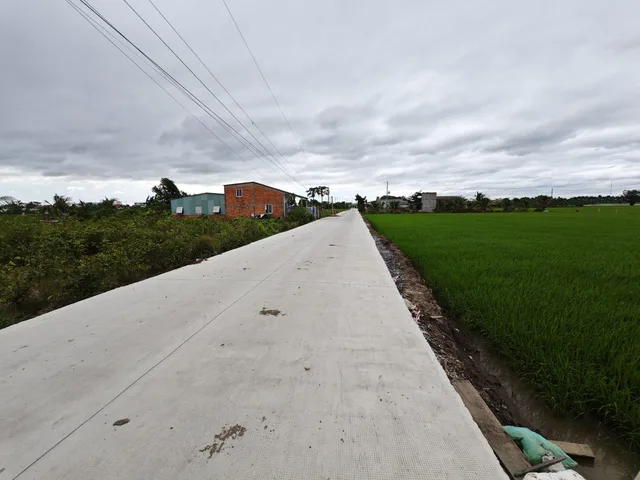 Bất động sản tại Long An - ảnh 1