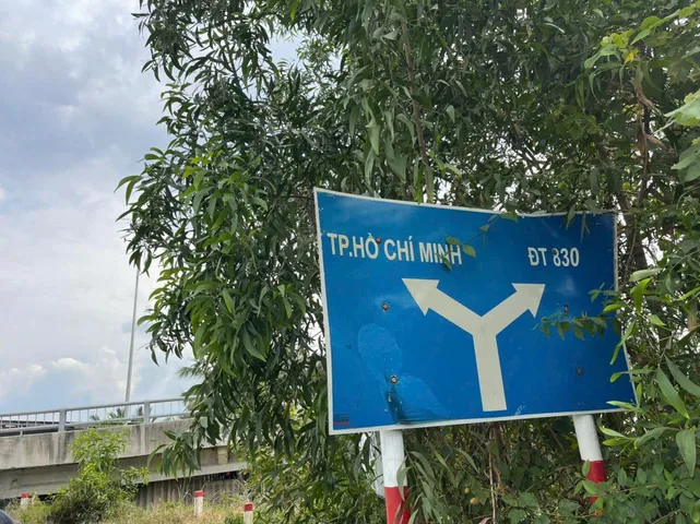 Bất động sản tại Long An - ảnh 1