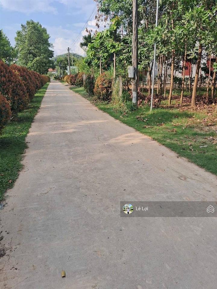 Bất động sản tại Lâm Đồng - ảnh 1