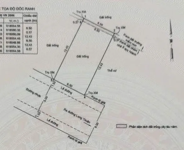 Bất động sản tại TP. Hồ Chí Minh - ảnh 1