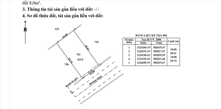 Bất động sản tại TP. Hồ Chí Minh - ảnh 1
