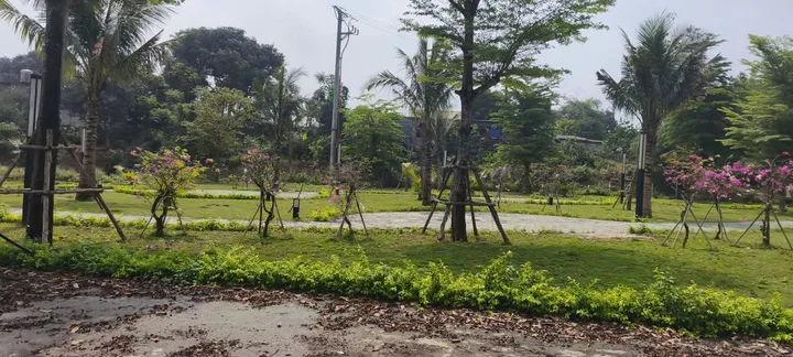 Bất động sản tại Phú Thọ - ảnh 1